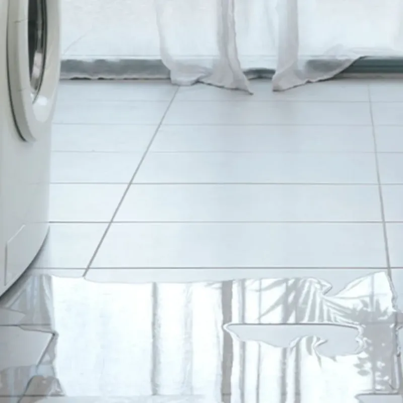 Appliance Leak Cleanup in Port Saint John, FL
